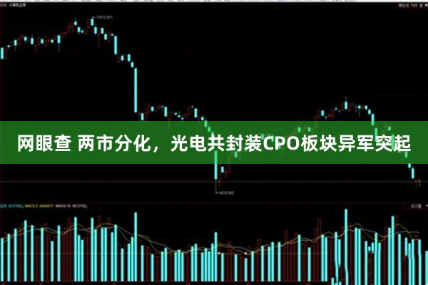 网眼查 两市分化，光电共封装CPO板块异军突起