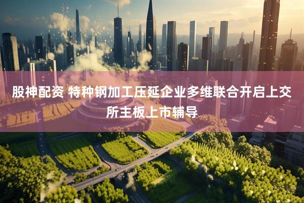 股神配资 特种钢加工压延企业多维联合开启上交所主板上市辅导