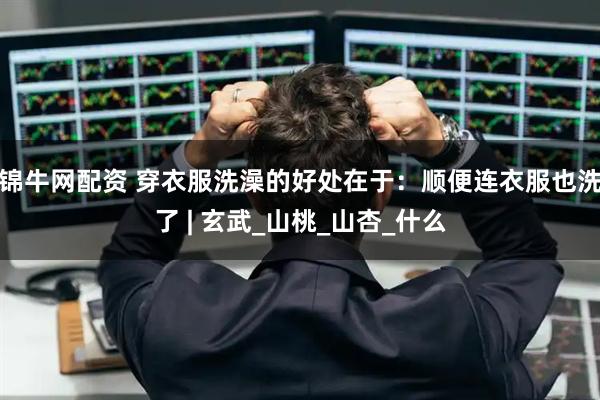 锦牛网配资 穿衣服洗澡的好处在于：顺便连衣服也洗了 | 玄武_山桃_山杏_什么