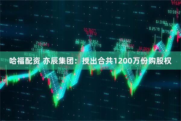 哈福配资 亦辰集团：授出合共1200万份购股权