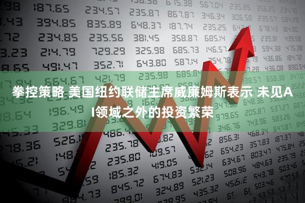 拳控策略 美国纽约联储主席威廉姆斯表示 未见AI领域之外的投资繁荣